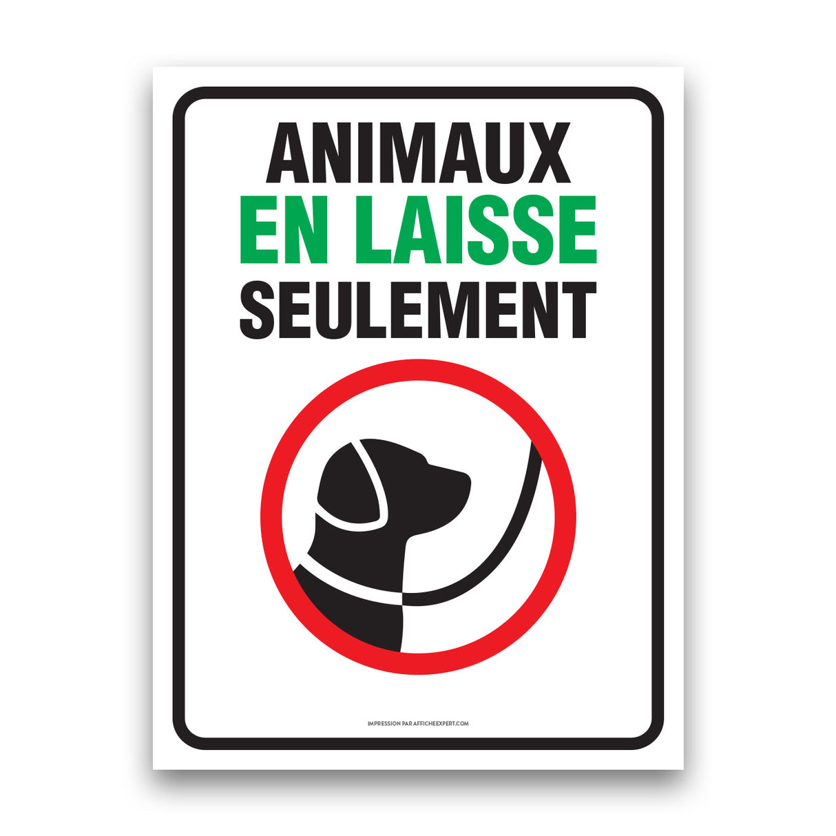 Animaux en laisse seulement