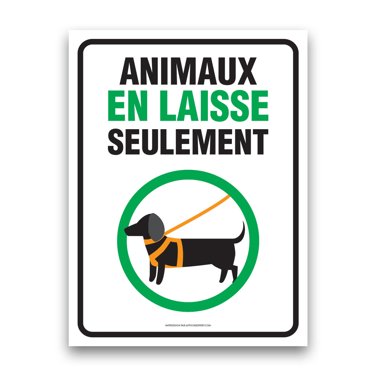 Animaux en laisse seulement - 2