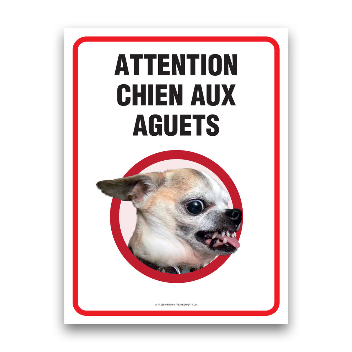 Attention au chien