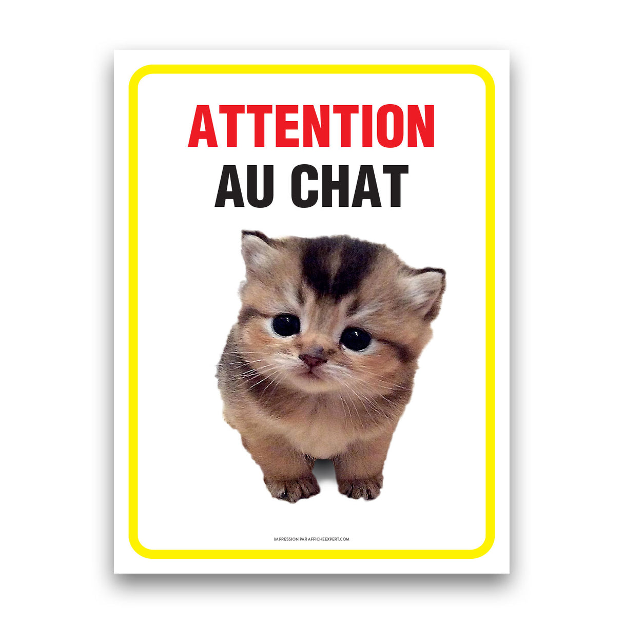 Attention au chat
