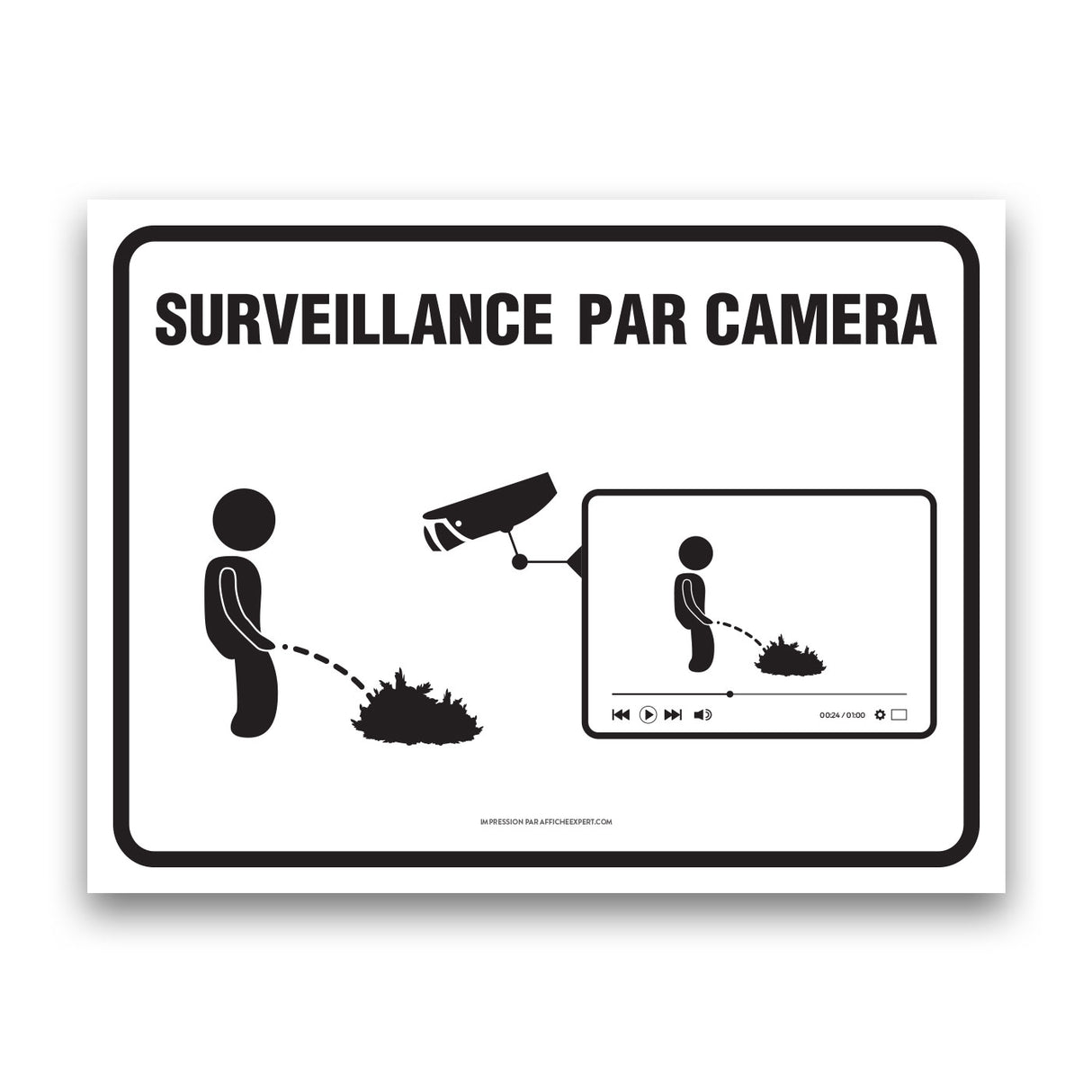 Surveillance par caméra (Future star du web)
