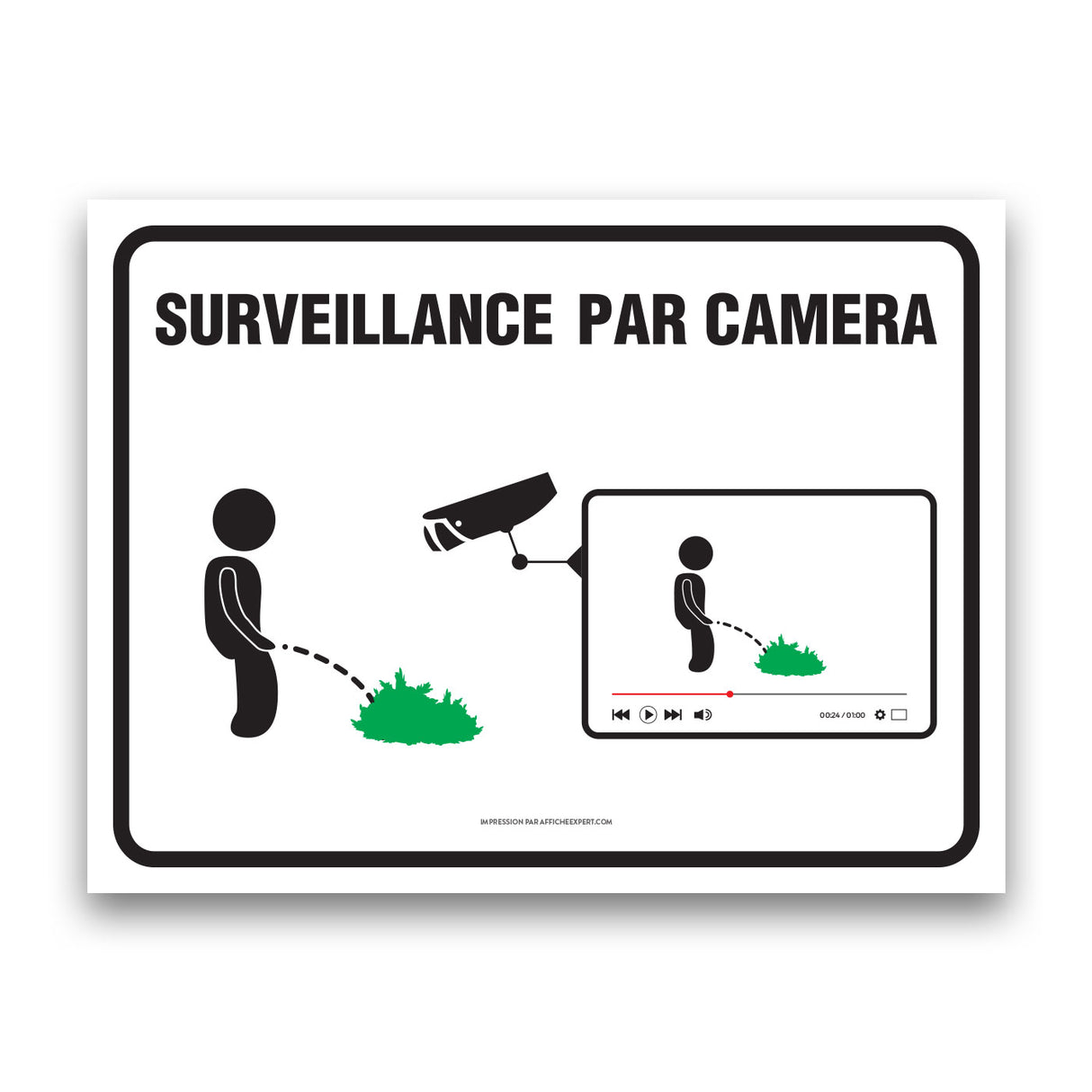 Surveillance par caméra (Future star du web)