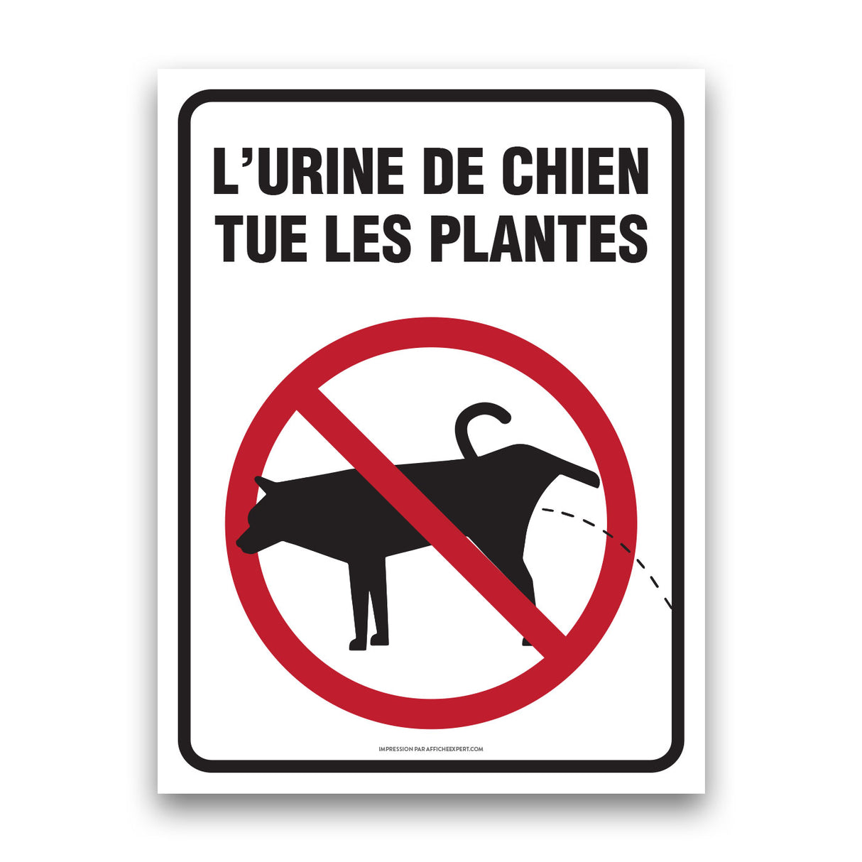 L'urine de chien tue les plantes