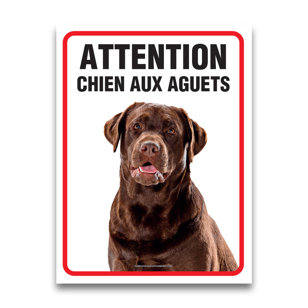 Attention - Chien aux aguets