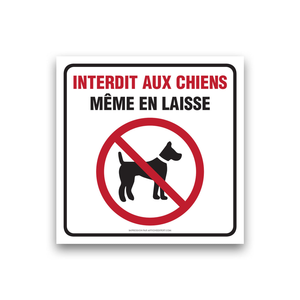 Chien interdit même en laisse