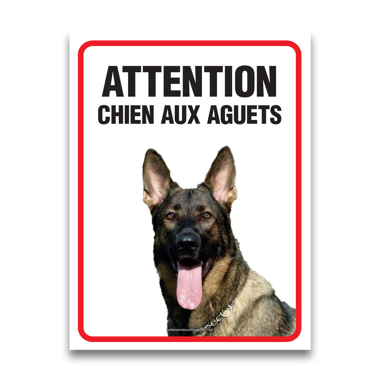 Attention - Chien aux aguets