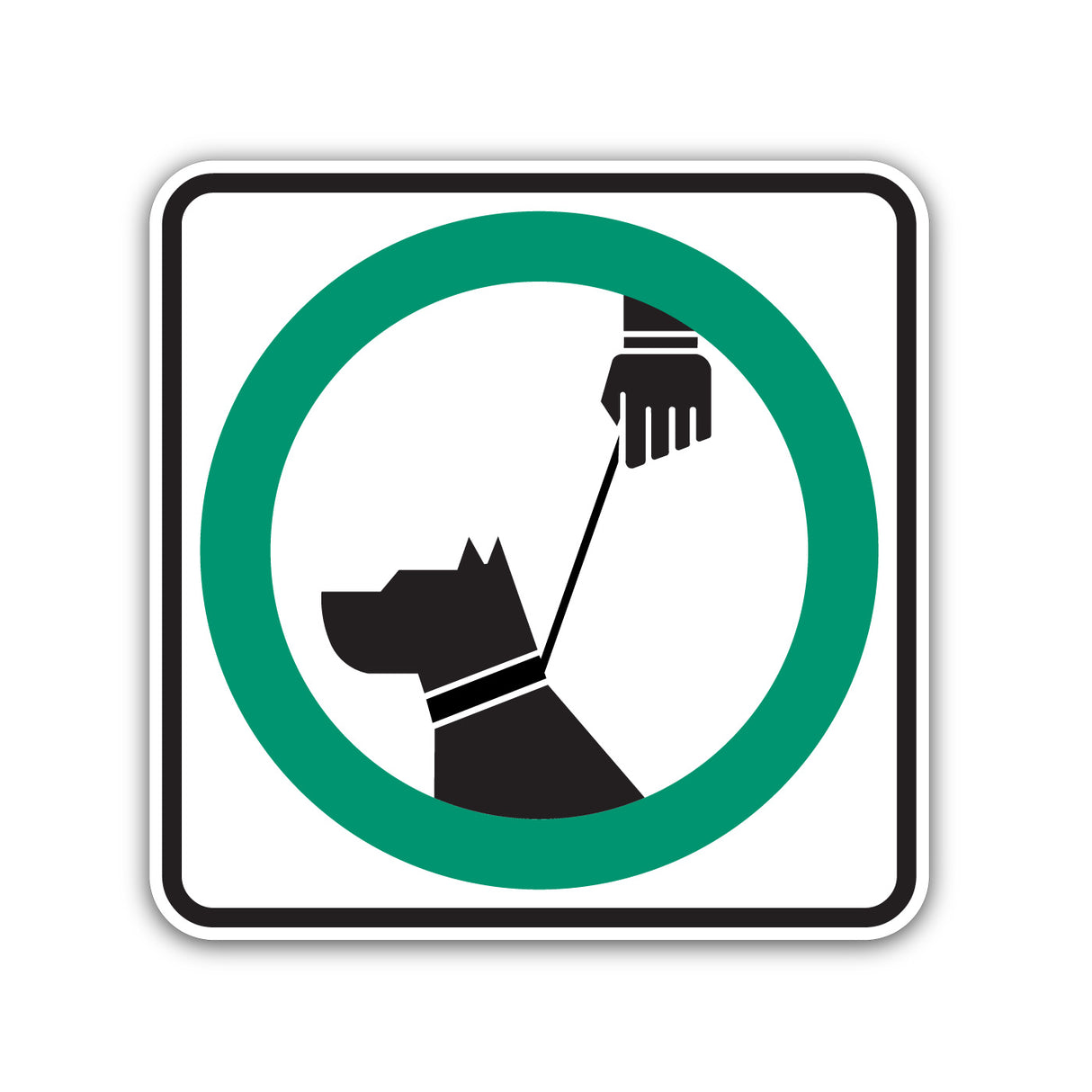 Autorisation de promener le chien en laisse (P-120-100)