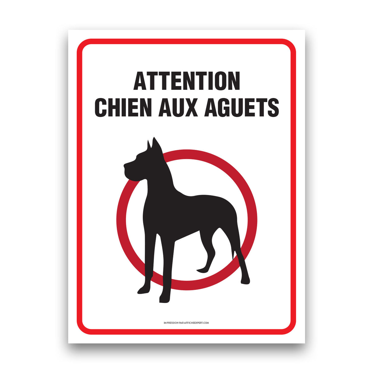 Attention au chien