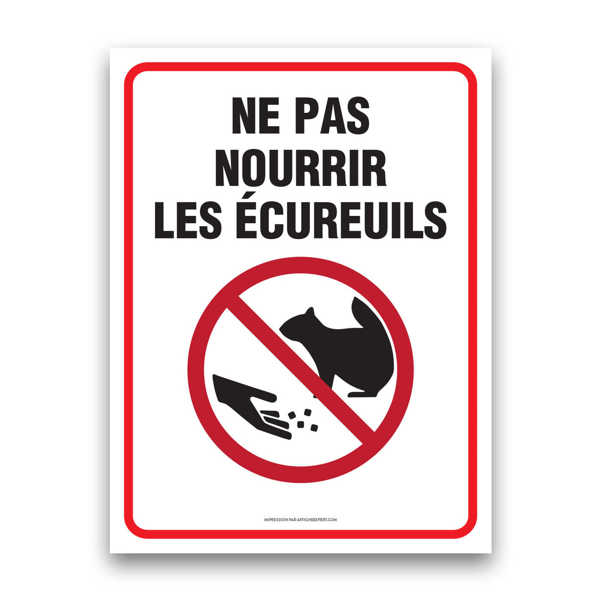 Ne pas nourrir les écureuils