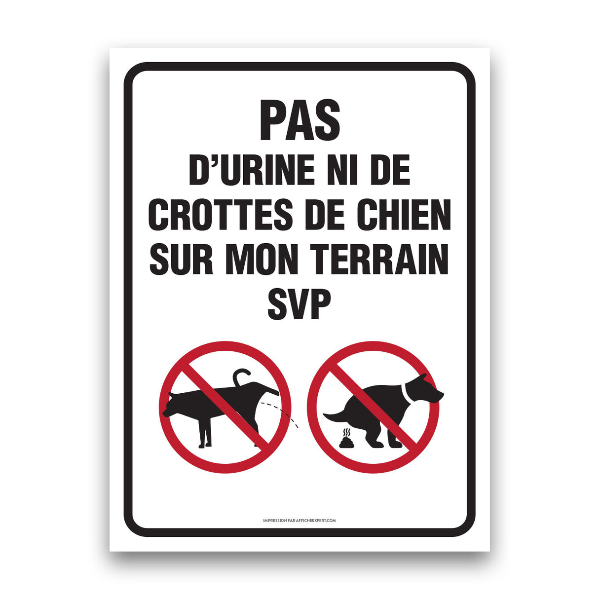 Pas d'urine ni de crottes de chien sur mon terrain