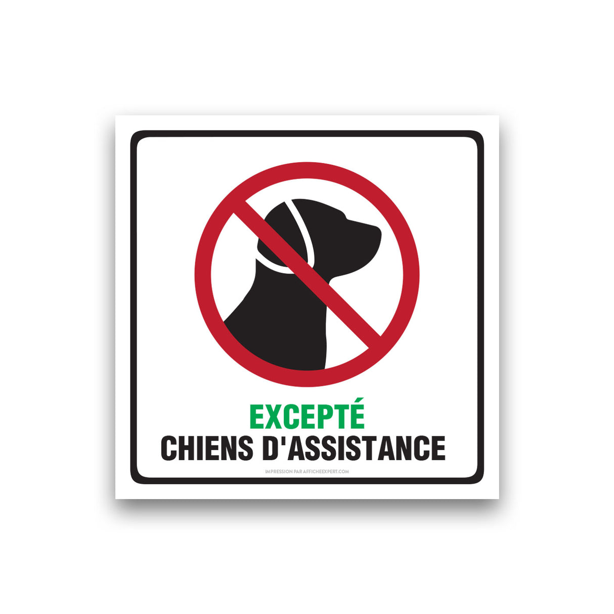 Chien interdit (Excepté chiens d'assistance)