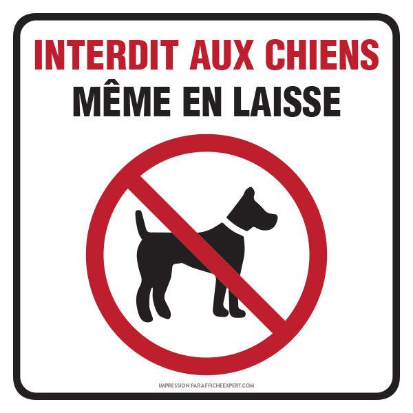 Sign - "Chien interdit même en laisse"