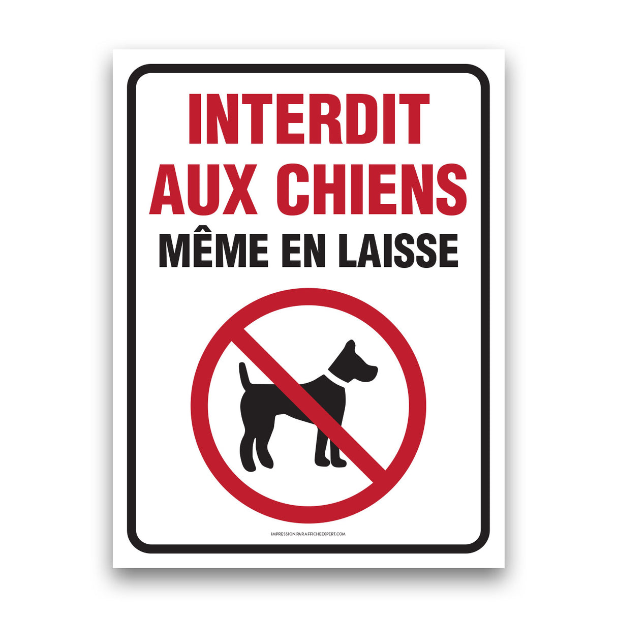 Chien interdit même en laisse