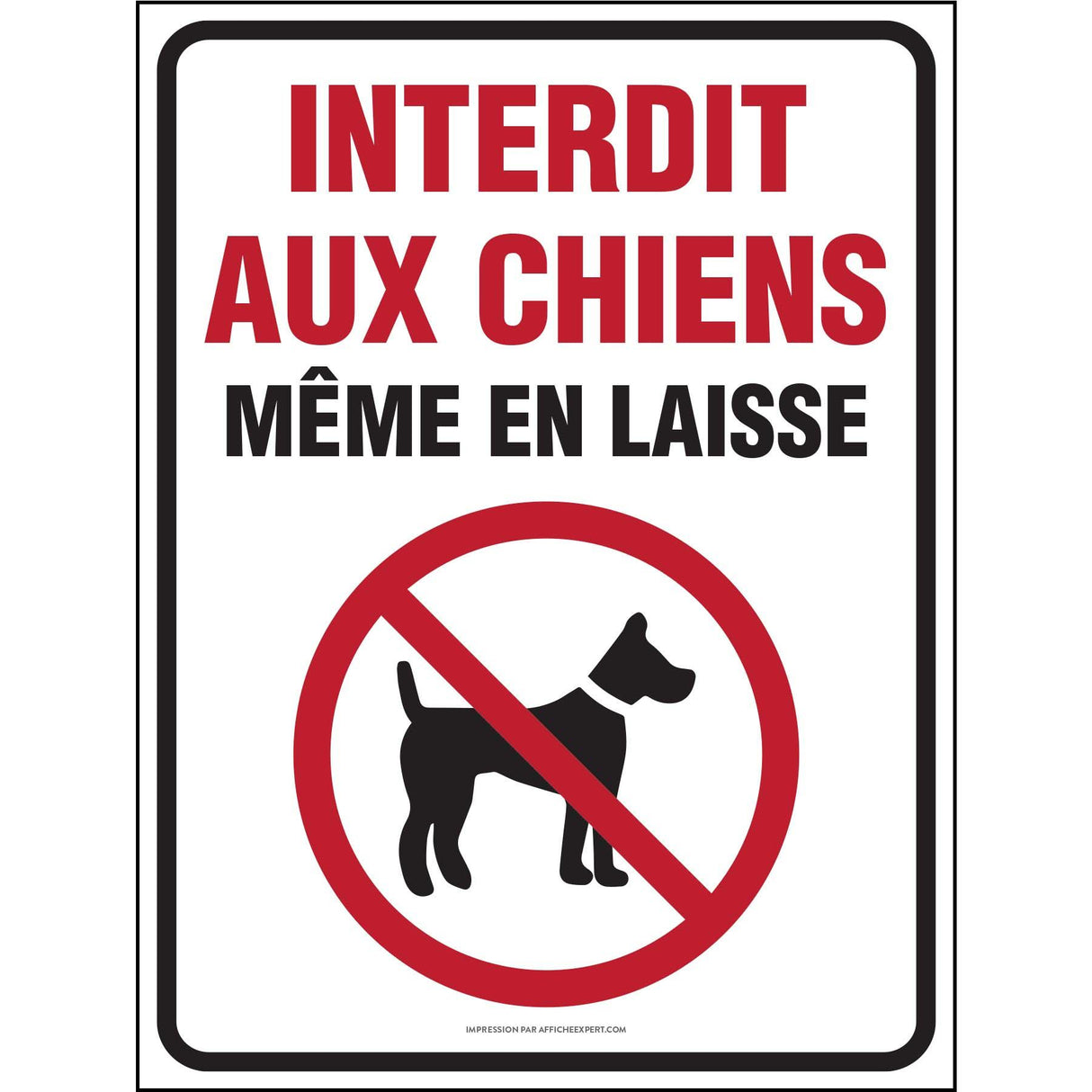 Sign - "Chien interdit même en laisse"