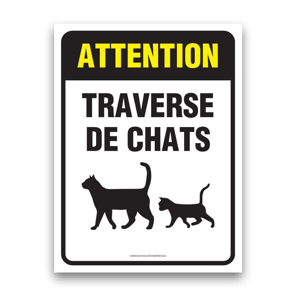 Attention - Traverse de chats