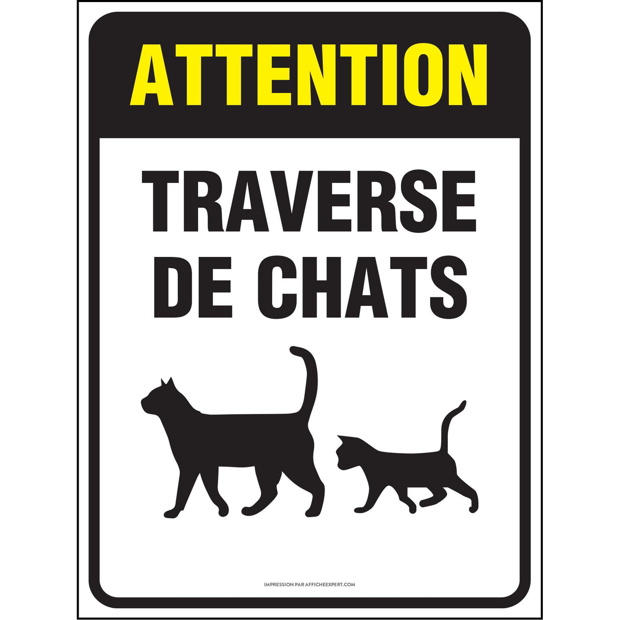 Attention - Traverse de chats