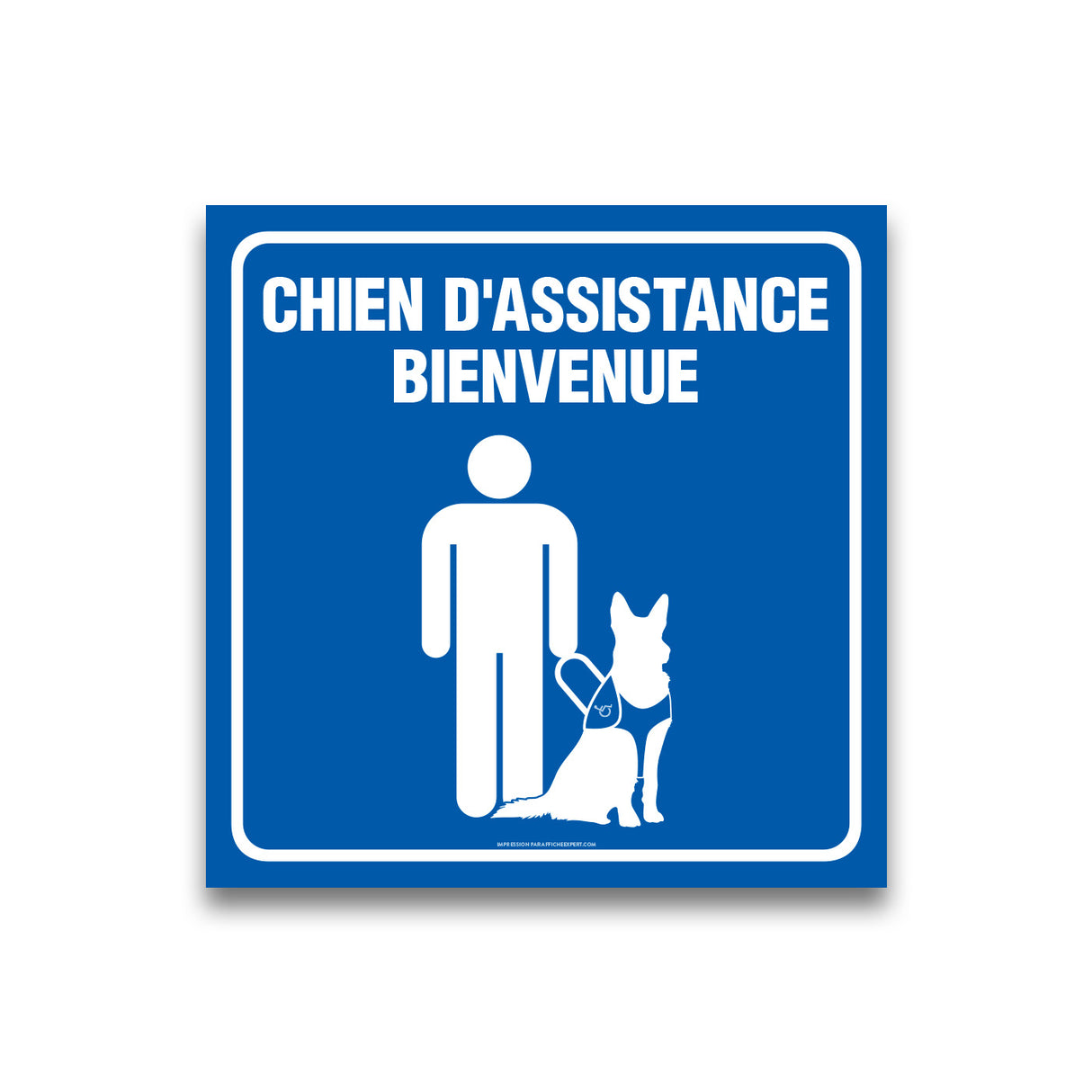 Chien d'assistance bienvenue