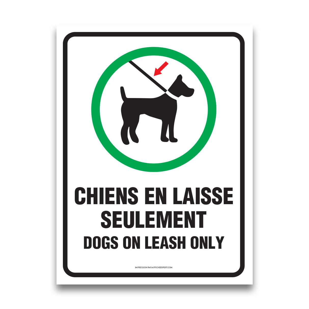 Chiens en laisse seulement / Dogs on leash only