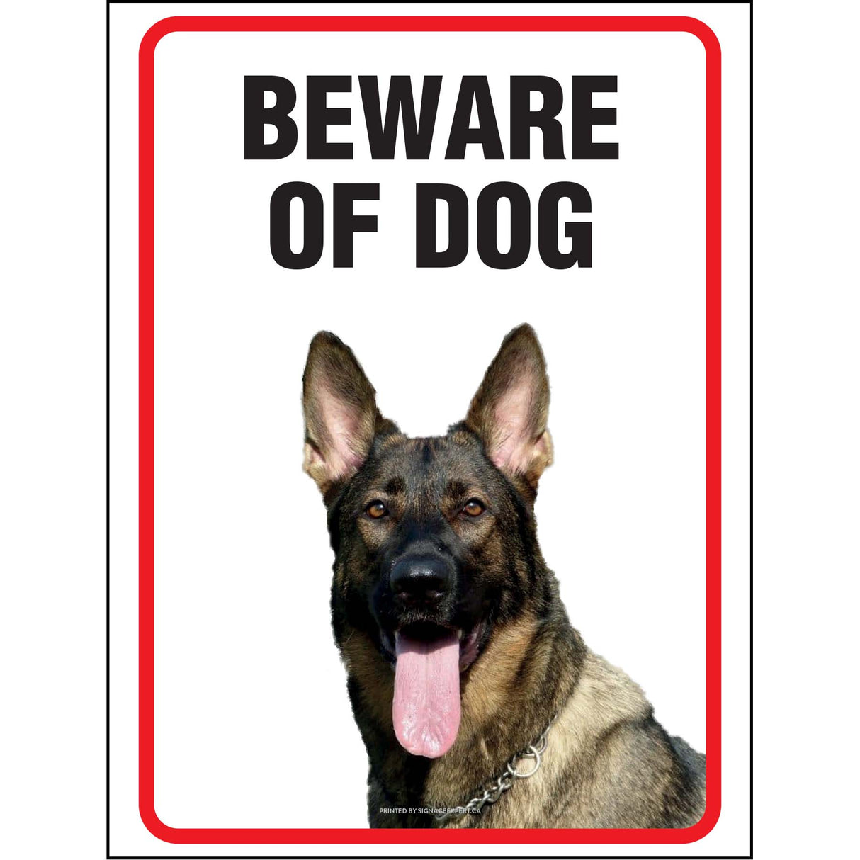 Beware Of Dog - Model 1