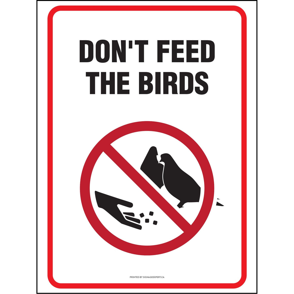 Do Not Feed The Birds