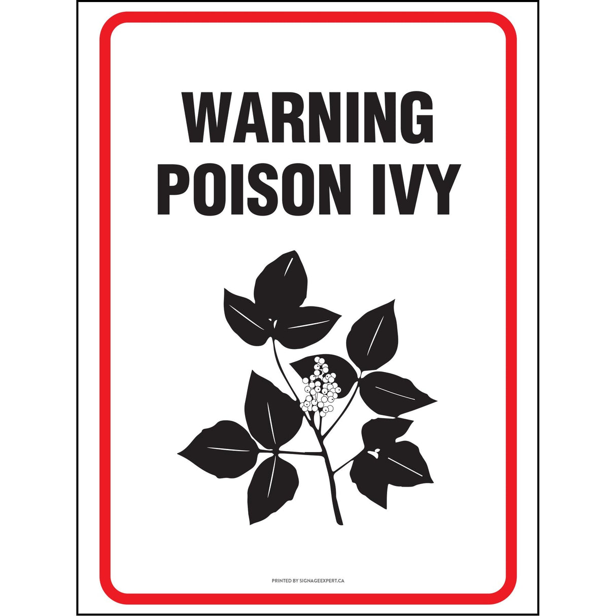 Caution Poison Ivy