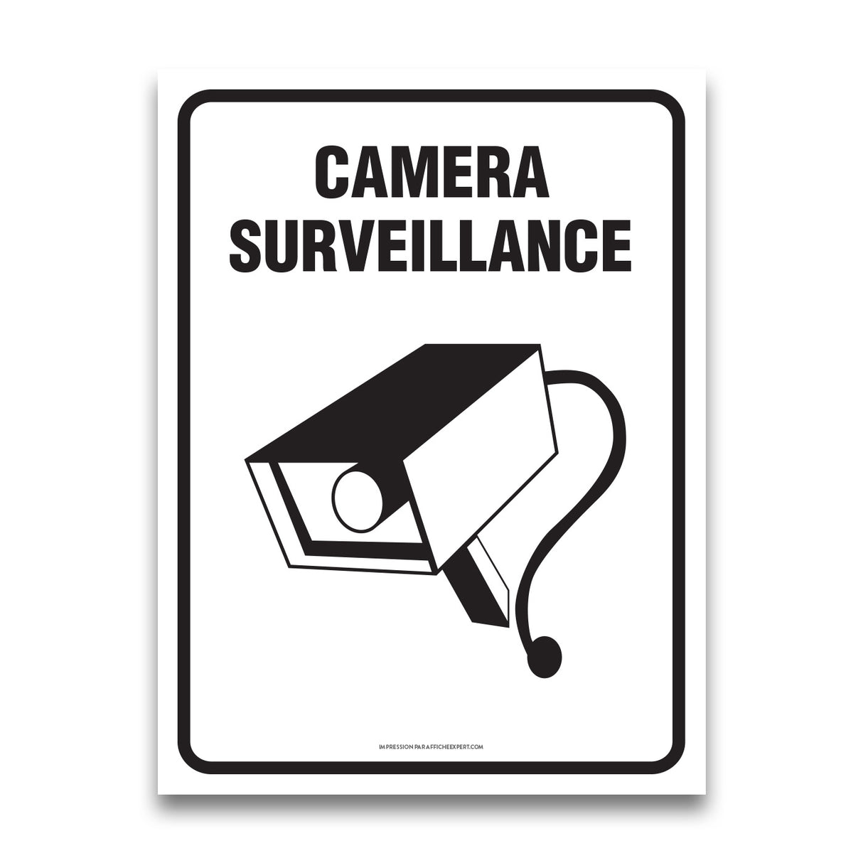 Camera Surveillance