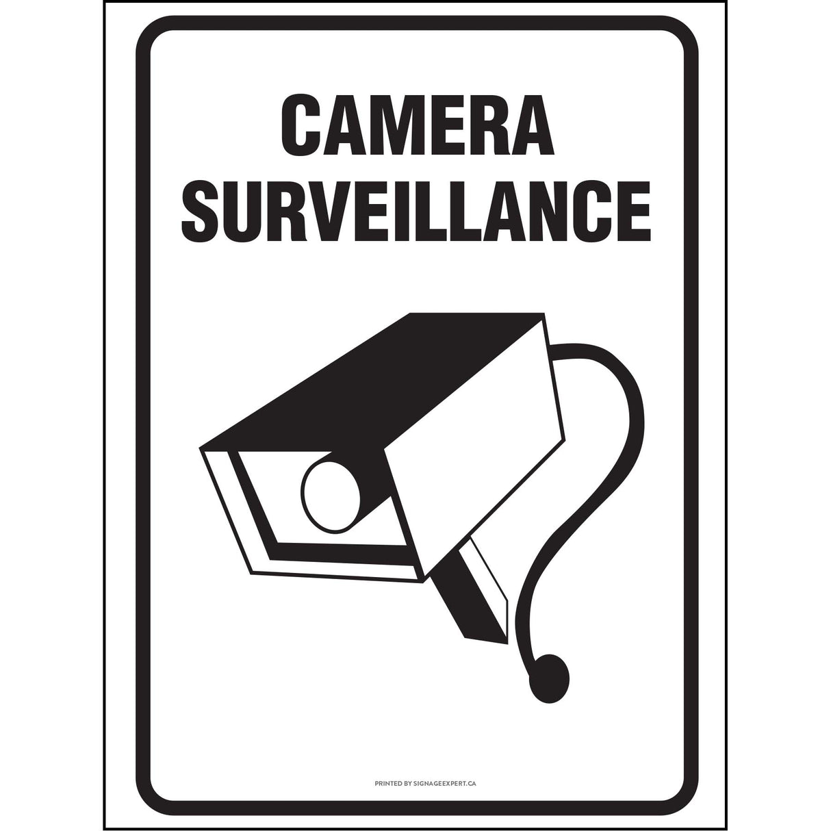 Camera Surveillance