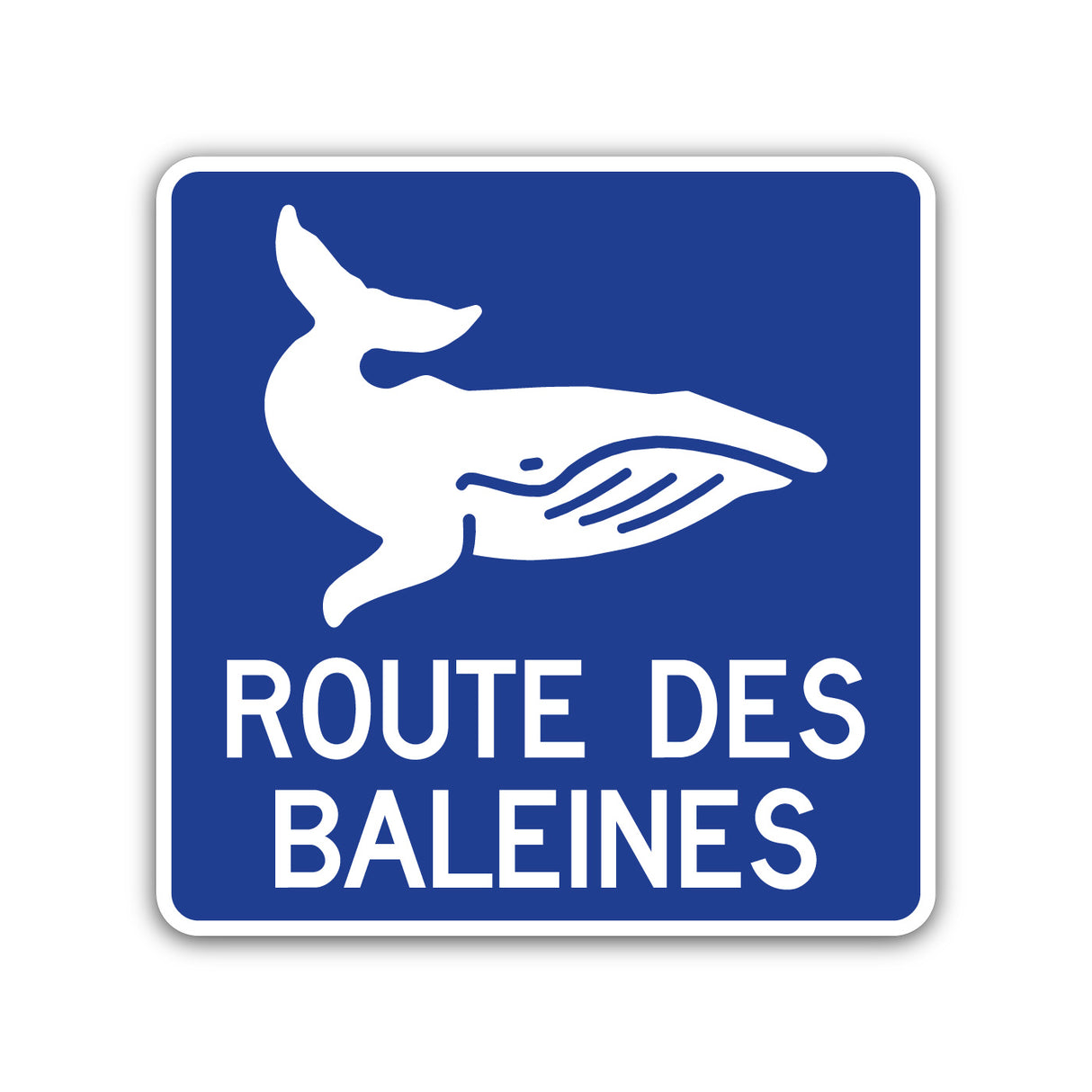 Route des baleines (I-185-1-E)