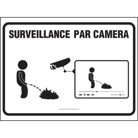 Affiche - Surveillance par caméra version future star du web