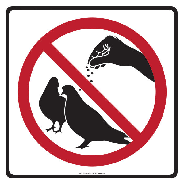 Ne pas nourrir les pigeons (Humoristique)