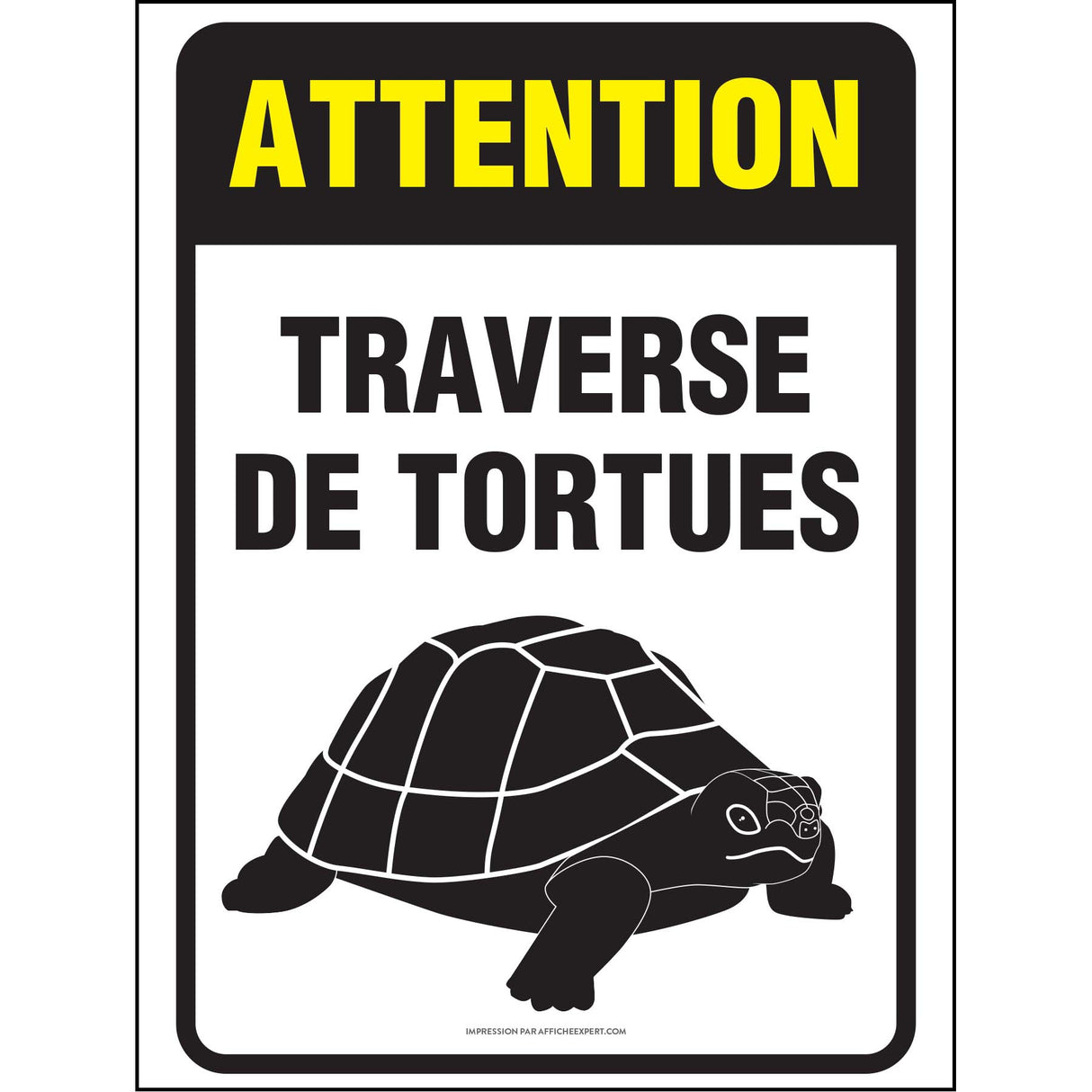 Attention - Traverse de tortues