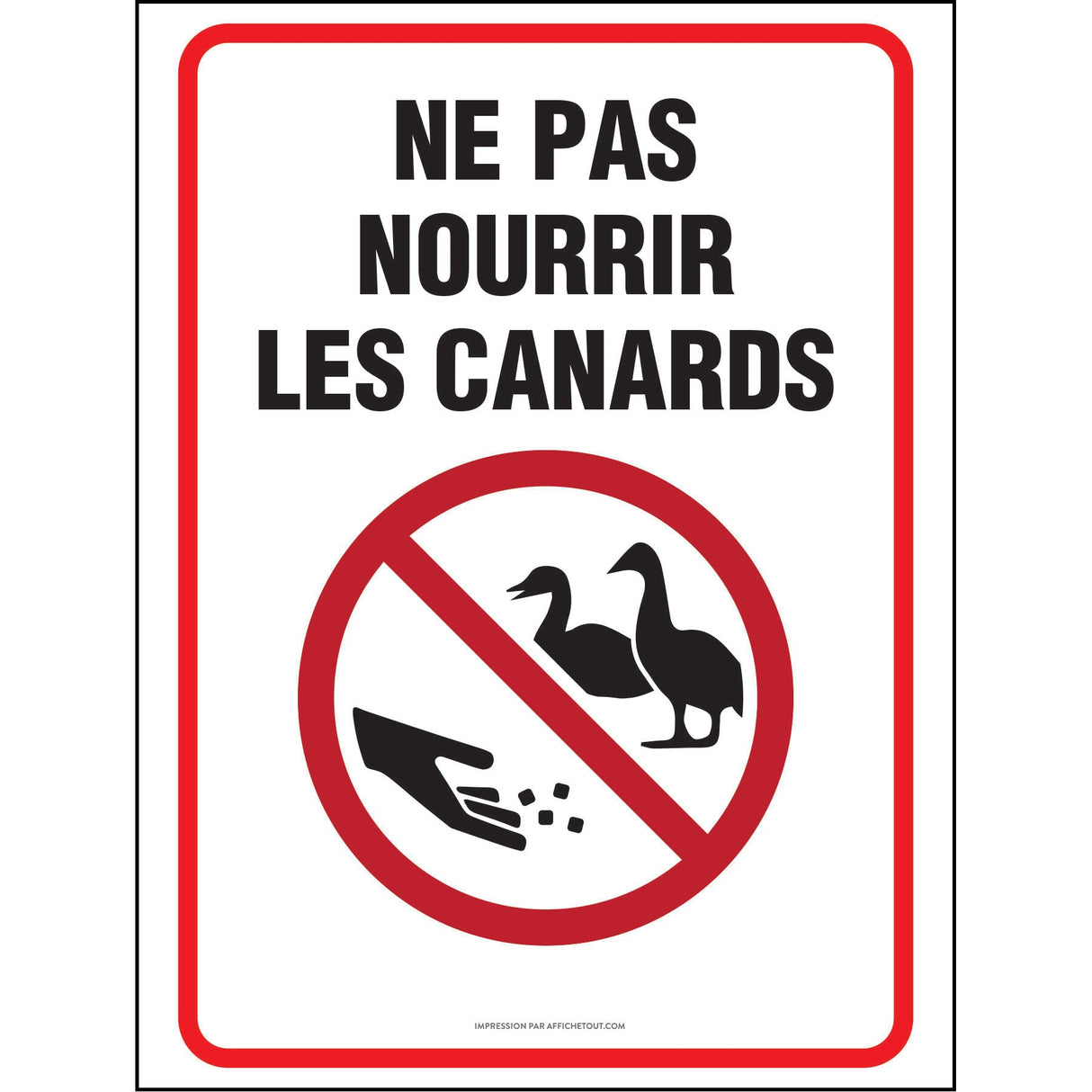 Affiche - Ne pas nourrir les canards